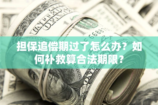 济南担保追偿期过了怎么办？如何补救算合法期限？