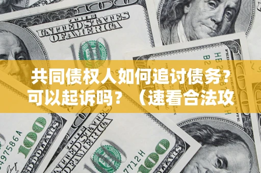 济南共同债权人如何追讨债务？可以起诉吗？（速看合法攻略）