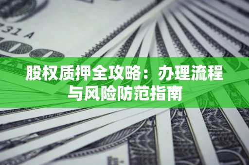 济南股权质押全攻略：办理流程与风险防范指南
